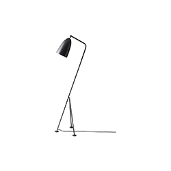 Grashoppa Floor Lamp CG-L1030